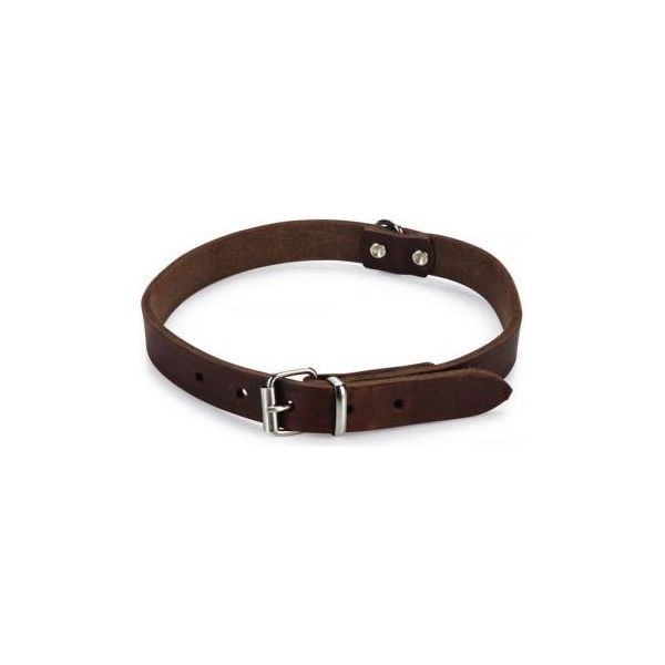 Beeztees - Halsband Hond - Leer - Bruin - 43-52 cm x 20 mm | Halsbanden