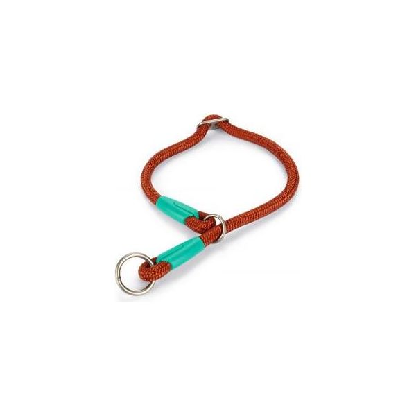 Beeztees Nikra - Halsband Hond - Lichtbruin - 50 cm x 10 mm | Halsbanden