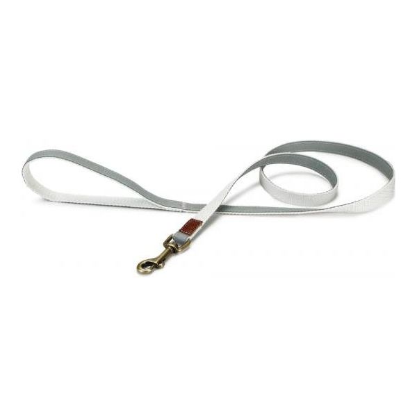 Designed by Lotte Virante - Hondenriem - Mint - 120 cm x 15 mm | Hondenriemen