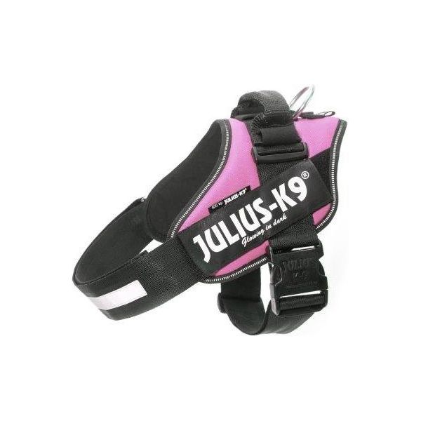 IDC Powertuig Roze - Maat 1 | IDC Powertuigen