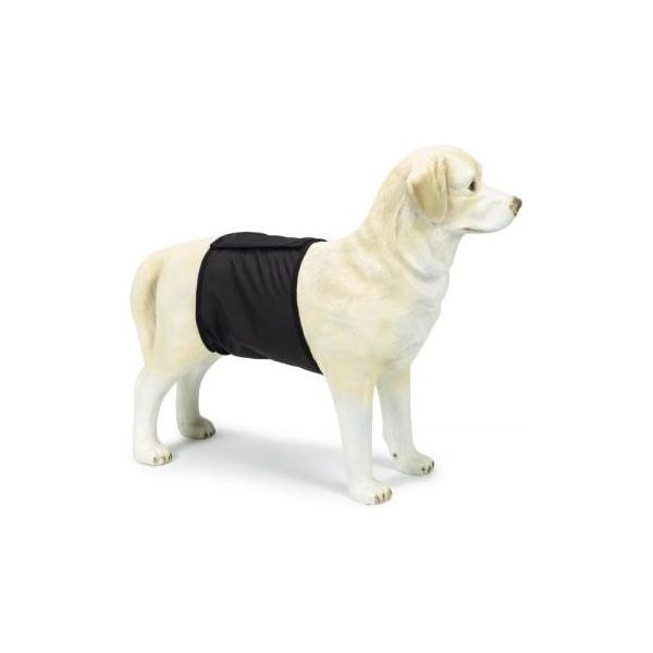 Beeztees Incontinentieband Reu - Hond - Zwart - XS - 40x10 cm | Overige