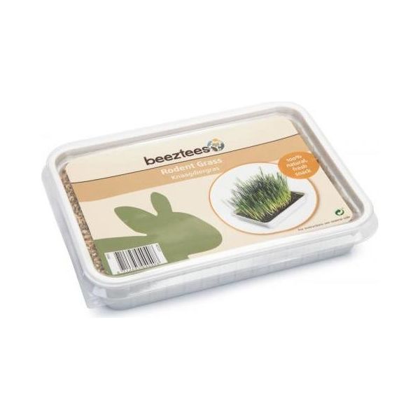 Beeztees Knaagdiergras - 130 gram | SNACKS