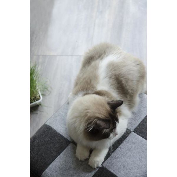 Let'S Sleep Pet Cube Licht/Donker Grijs | Manden