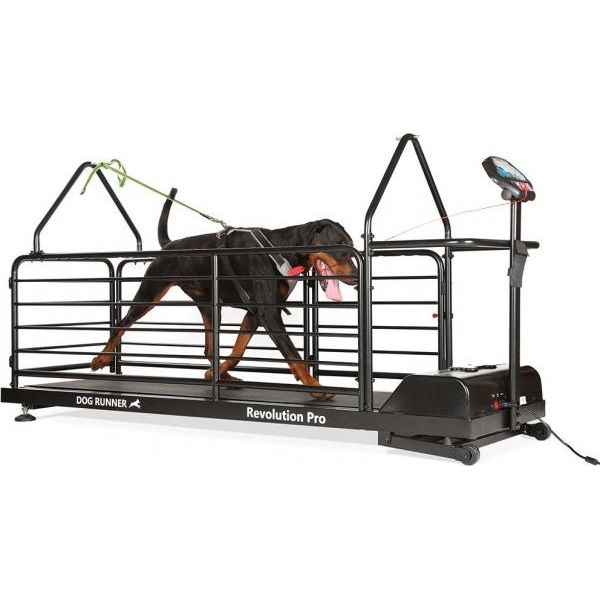 DOG RUNNER REVOLUTION PRO | Loopbanden