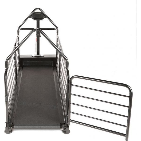 DOG RUNNER REVOLUTION PRO | Loopbanden