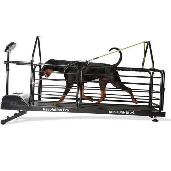 DOG RUNNER REVOLUTION PRO | Loopbanden