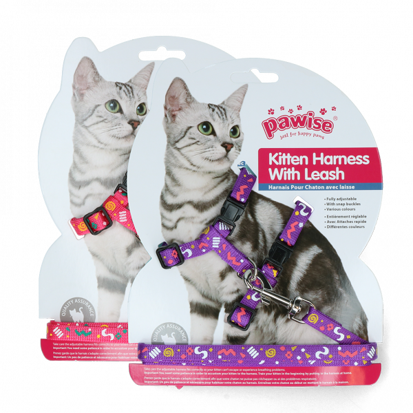 Pawise Kitten Harness Leash-Pink/Purple | Kattentuigjes