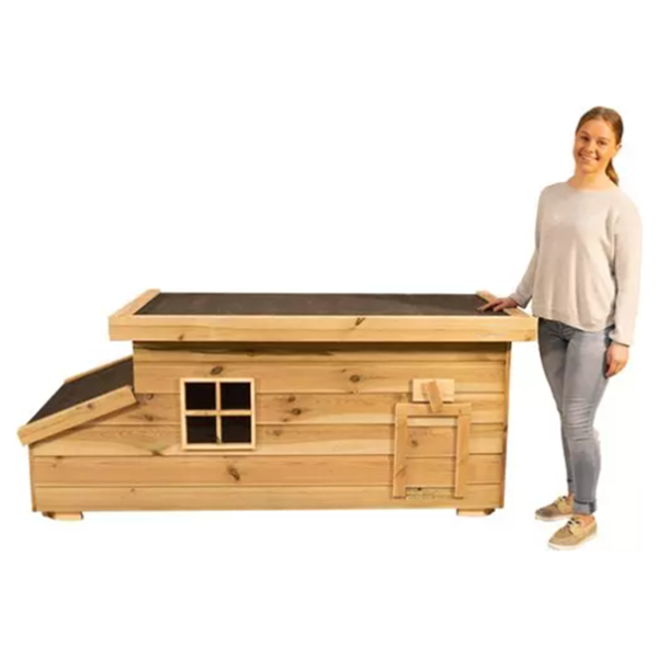 Kippenhok Fenne | KIPPENHOKKEN