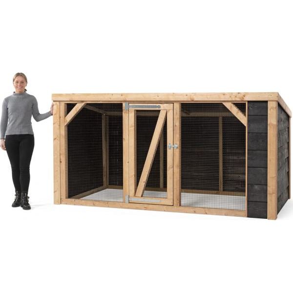 Kippenren Milan | KIPPENHOKKEN