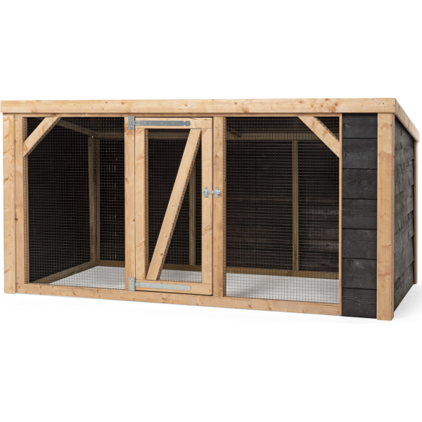 Kippenren Milan | KIPPENHOKKEN