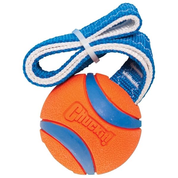 Chuckit Ultra Tug M 6 cm | Ballen