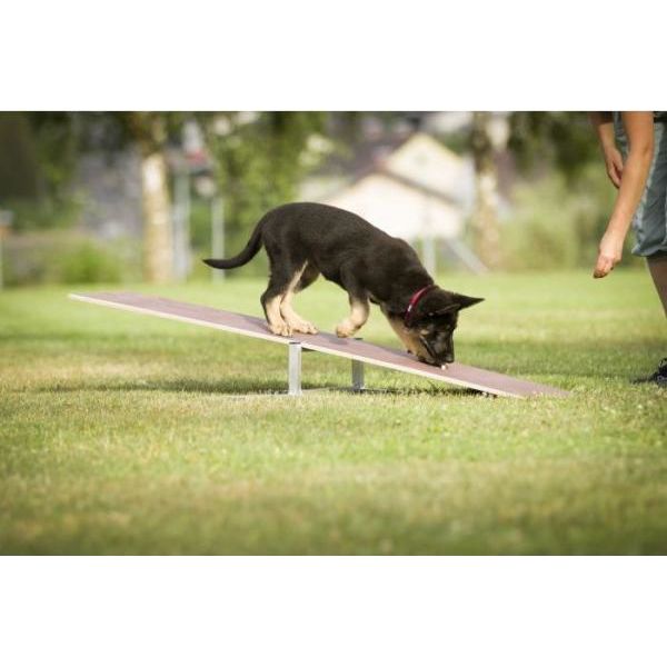 Puppy wipwap | Veldmateriaal