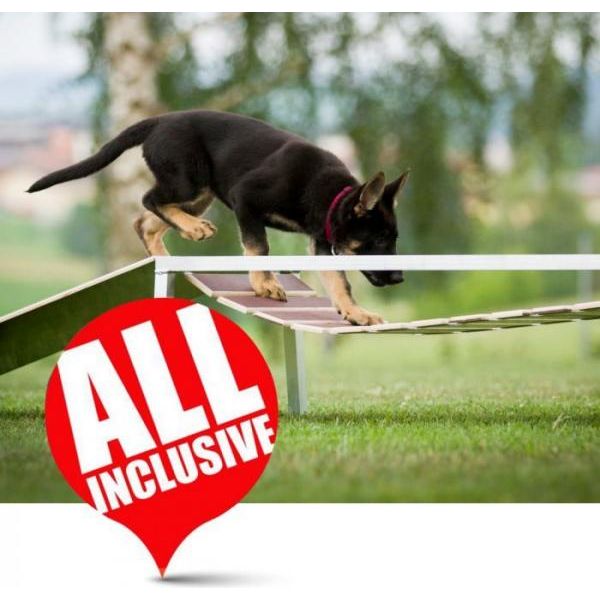 Puppy complete set | Veldmateriaal