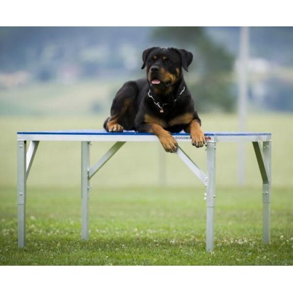 Agility Tafel - met bekleding | Agility toestellen