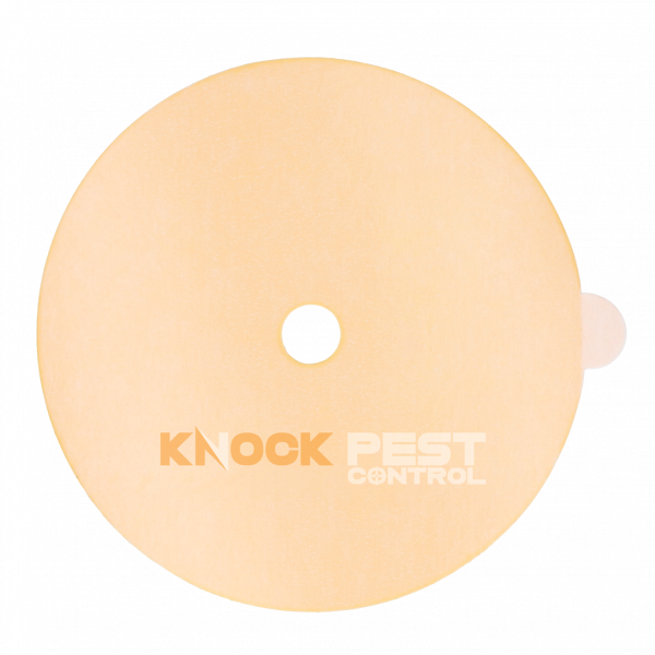 Knock Off Lijmplaat voor Insectenval | Vliegende insecten