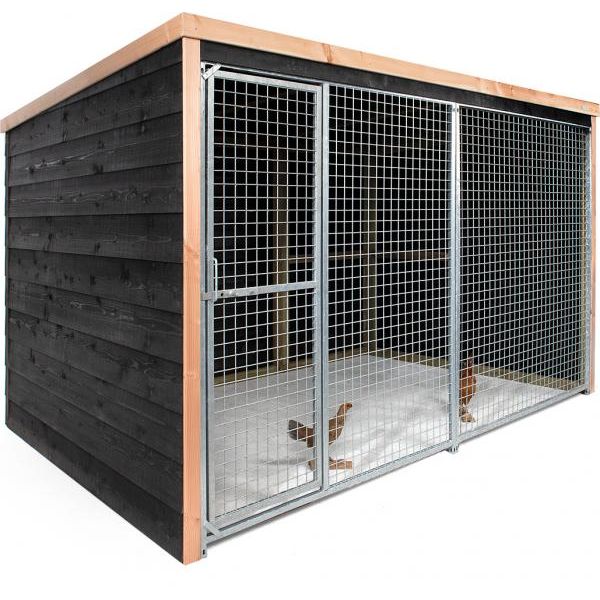 Kippenren Dirk | KIPPENHOKKEN