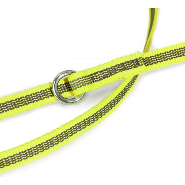 Hondenriem - Verstelbaar 14mm x 2,2m | Hondenriemen