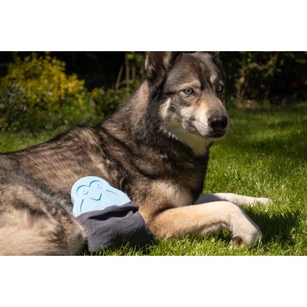 CoolPets Cooling Ice Penguin | Koelmatten