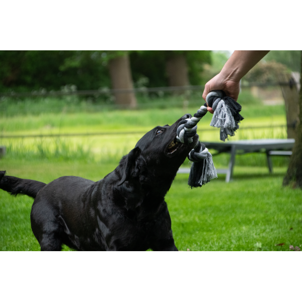 Floss Boss Dental Rope 2 Knot 20 cm | Flostouw