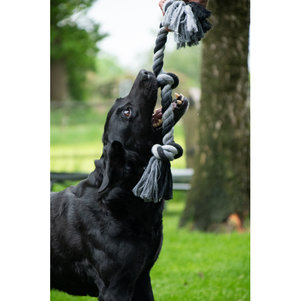 Floss Boss Dental Rope 2 Knot 20 cm | Flostouw