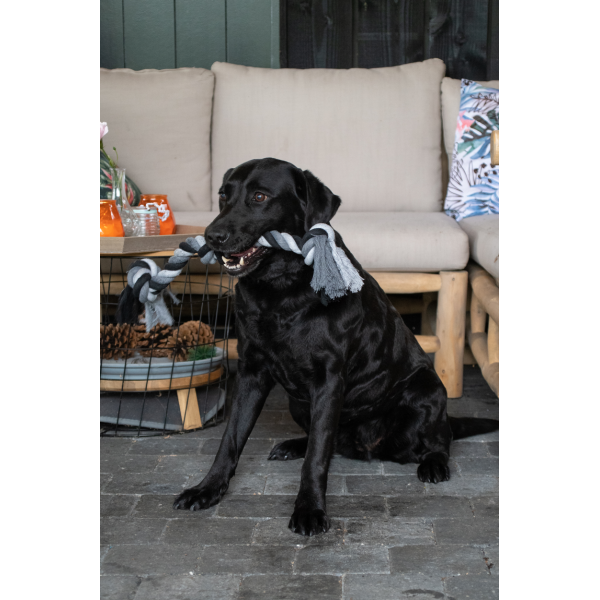 Floss Boss Dental Rope 2 Knot 20 cm | Flostouw