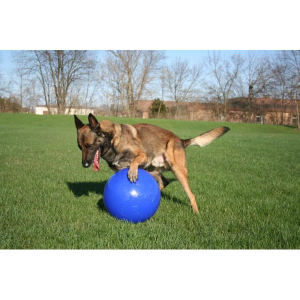 Jolly Ball PushNPlay 15Cm Blauw