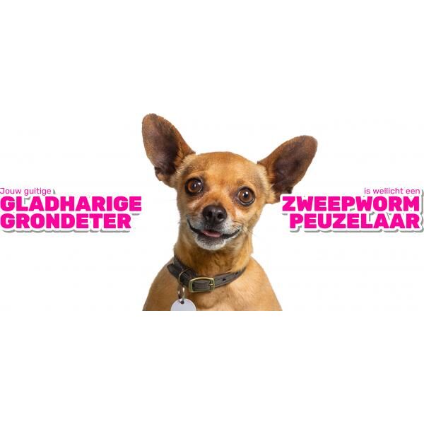 Milbemax Tabletten Hond Groot 2 Tabl. 5-75Kg | Algemene gezondheid