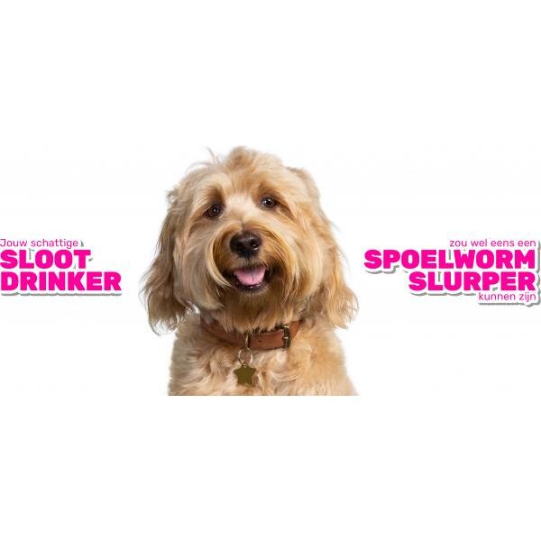 Milbemax Tabletten Hond Groot 2 Tabl. 5-75Kg | Algemene gezondheid