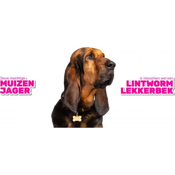Milbemax Tabletten Hond Groot 2 Tabl. 5-75Kg | Algemene gezondheid