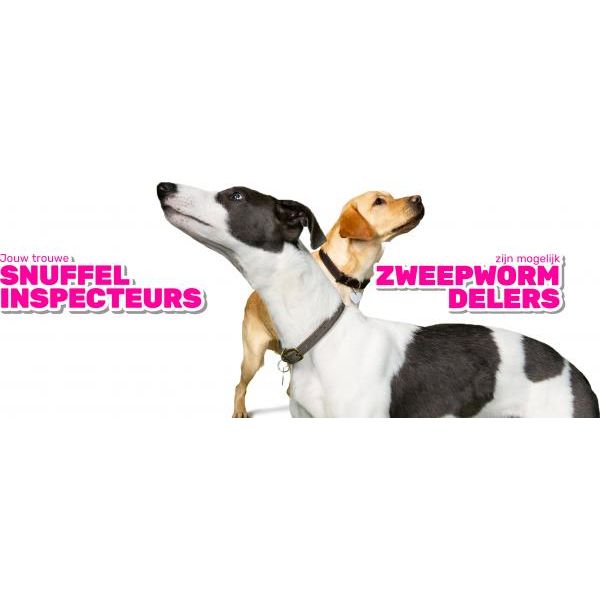 Milbemax Tabletten Hond Groot 4 Tabl. 5-75Kg | Algemene gezondheid