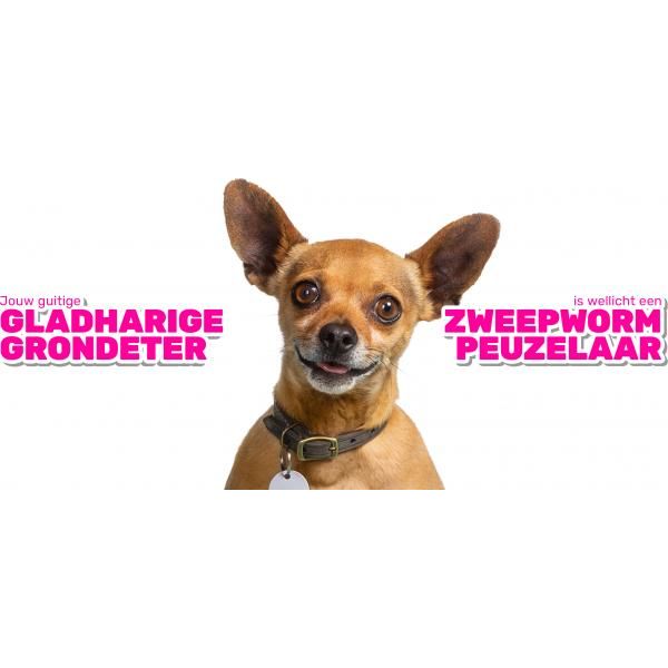 Milbemax Tabletten Hond Groot 4 Tabl. 5-75Kg | Algemene gezondheid