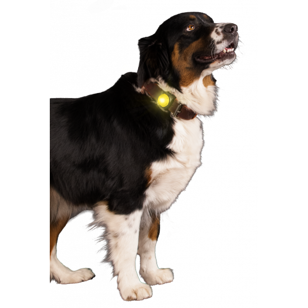 Nightwalk Safety Light Yellow | Veiligheid