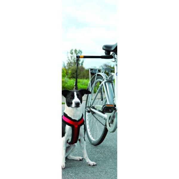 Pawise Hands Free Doggy Bike Exerciser Leash | Fiets
