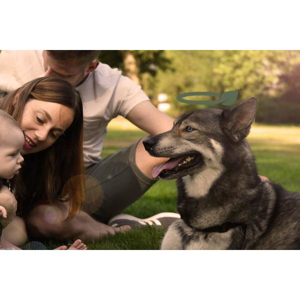 Poopygo Dispenser Incl. 15 Zakjes Lavendelgeur | Poepzakjes en houders