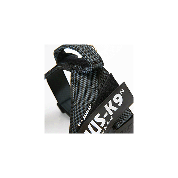 IDC Riemtuig Zwart - Maat 0 | IDC Riemtuigen