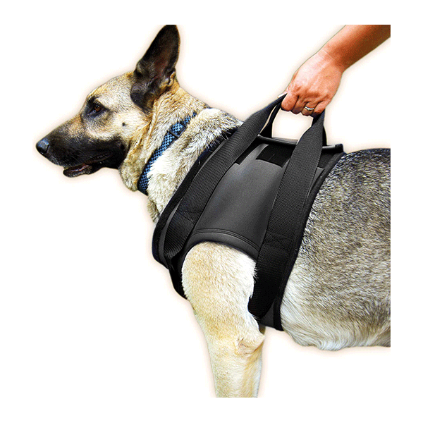 Revalidatie Tuig Hond - Voor - Maat XL | Julius K9 - Speciale tuigen