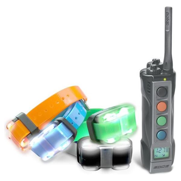 Dogtra 4504 Edge Trainings Band C.E. Goedgekeurd - 4 honden | Trainingsbanden