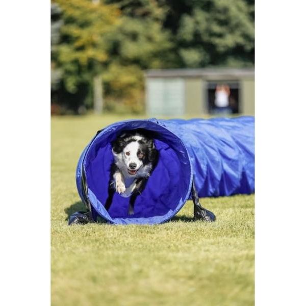 Agility basis tunnel 60cm x 5m | Agility toestellen