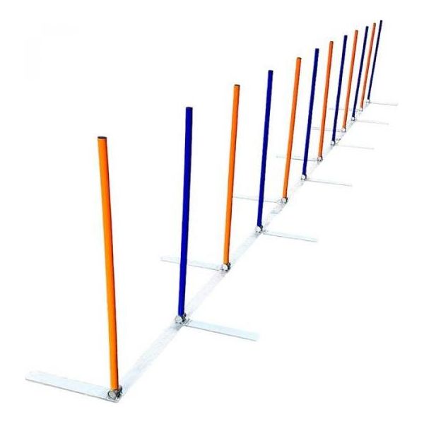 Agility Oefen slalom | Agility en behendigheid