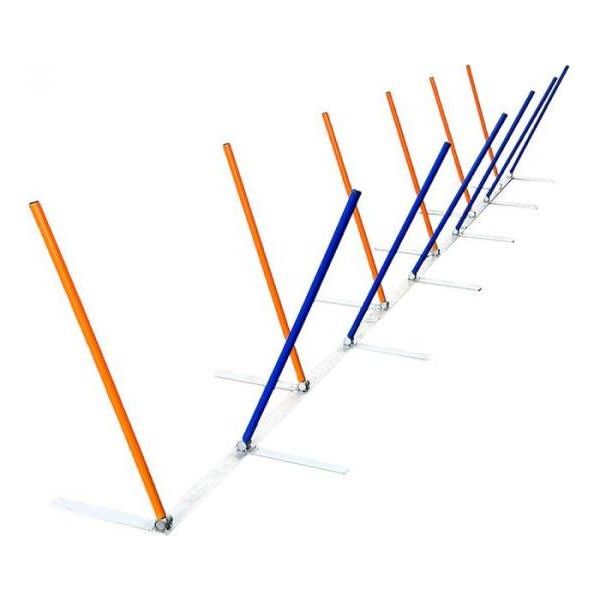 Agility Oefen slalom | Agility en behendigheid