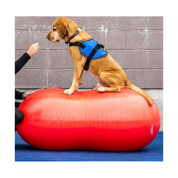 FitPAWS Peanut - Zonder noppen - Rood - 80 cm