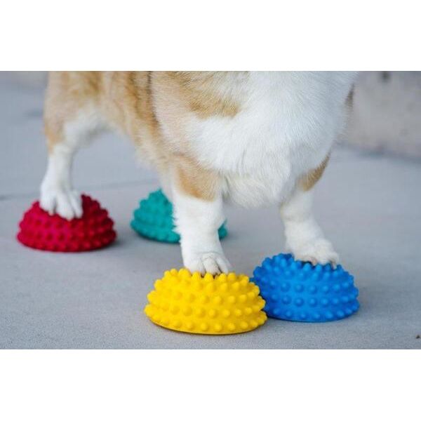 FitPAWS Paw Pods - Antislip - Set van 4 stuks