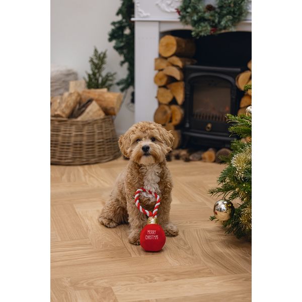 Beeztees honden kerstbal - Merry Christmas