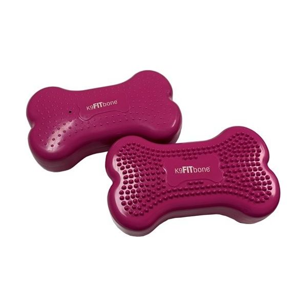FitPaws bone mini - set van 2 stuks - Roze