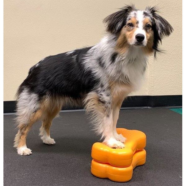 FitPaws bone mini - set van 2 stuks - Geel