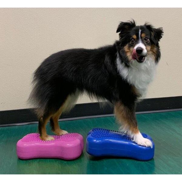 FitPaws bone mini - set van 2 stuks - Blauw