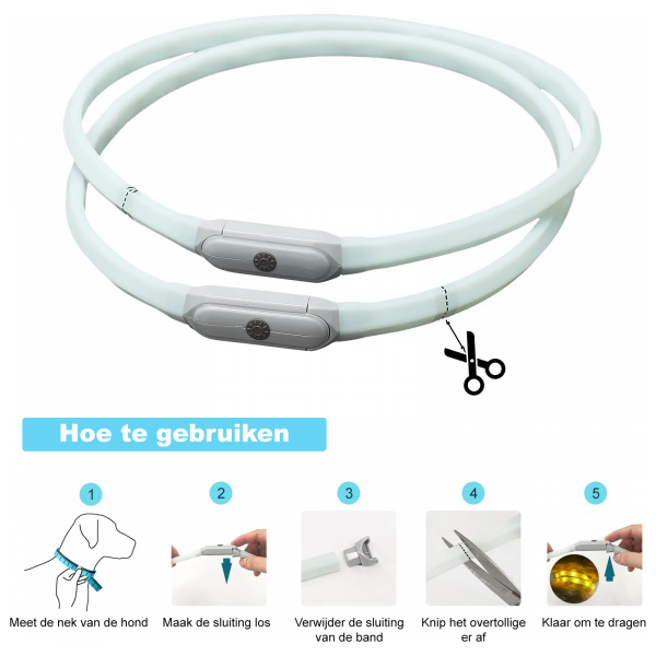 Lichtgevende led halsband honden - Meerkleurig - Oplaadbaar | Reflectie en verlichting