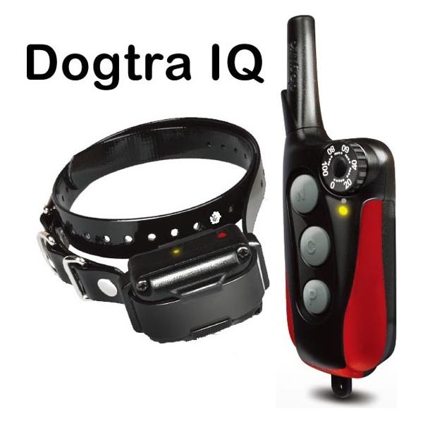 Dogtra Iq Plus Trainings Band C.E. Goedgekeurd | Trainingsbanden