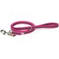Hondenriem - 20mm x 1,8m - Met handvat - Roze | Hondenriemen